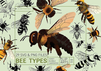 Bee Types Clip Arts | Bee PNG Files | Bee SVG Files| Honey Bee | Bumble Bee | Carpenter Bee
