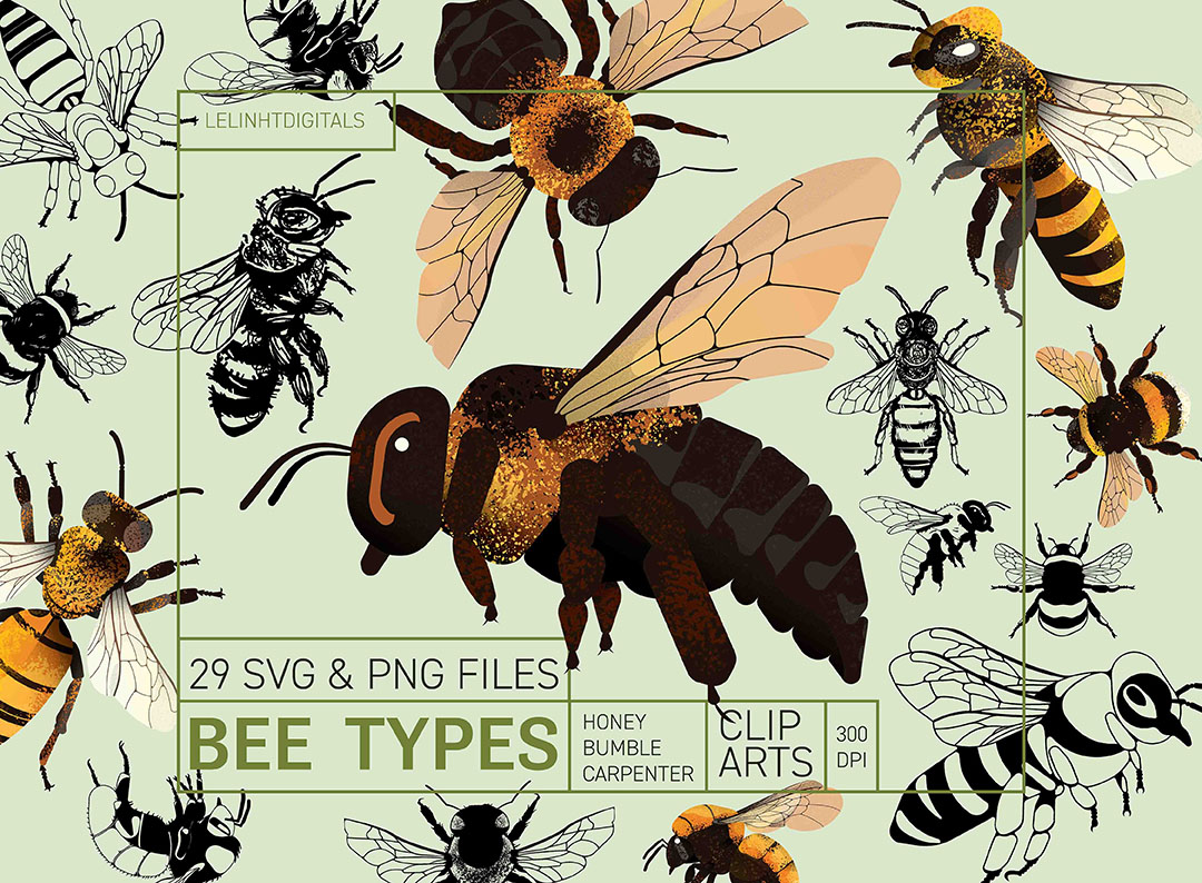 Bees-PNG-listing-lelinhtdigitals_Feature-Image
