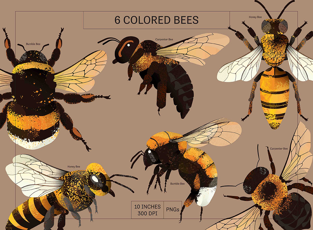 Bees-PNG-listing-lelinhtdigitals_colored-bees