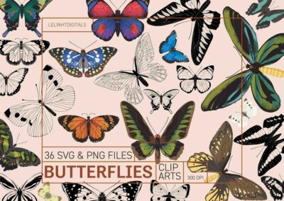 Butterflies Clip Arts | Butterfly PNG Files | Butterfly SVG Files | Butterfly Stencils | Monarch Butterfly