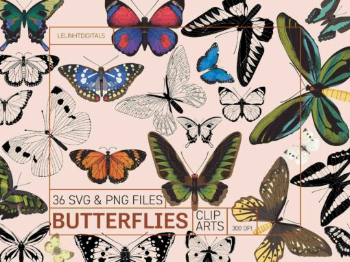 Butterflies Clip Arts | Butterfly PNG Files | Butterfly SVG Files | Butterfly Stencils | Monarch Butterfly