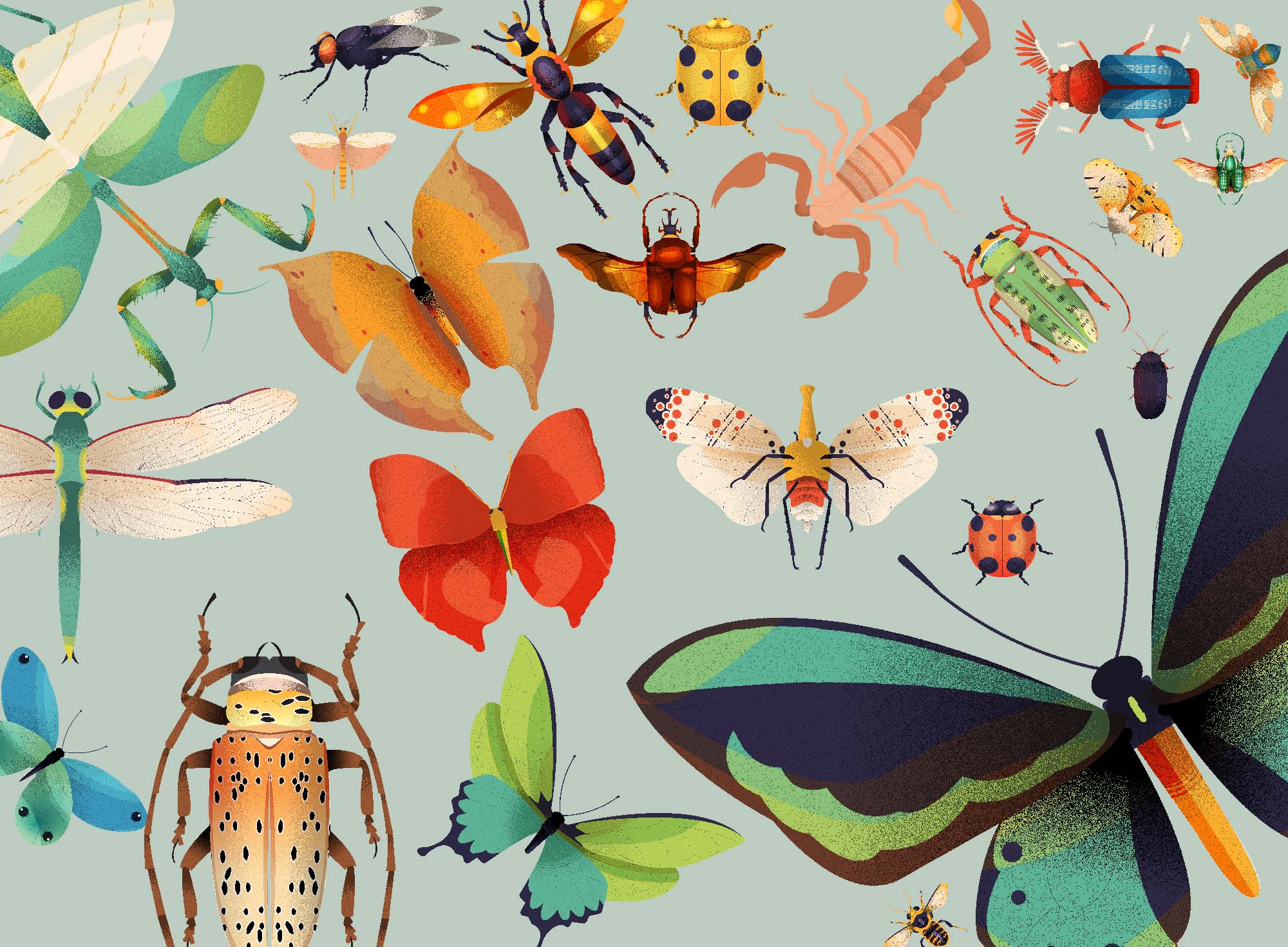insect-Cliparts-clip-arts-bug-png-files-listing-lelinhtdigitals-all-bugs